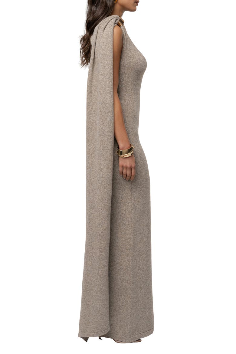 Aniza Drape Long Sleeve Maxi Dress, Alternate, color, BEIGE