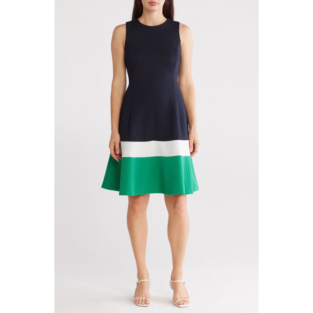 ELIZA J ELIZA J COLORBLOCK SLEEVELESS FIT & FLARE DRESS