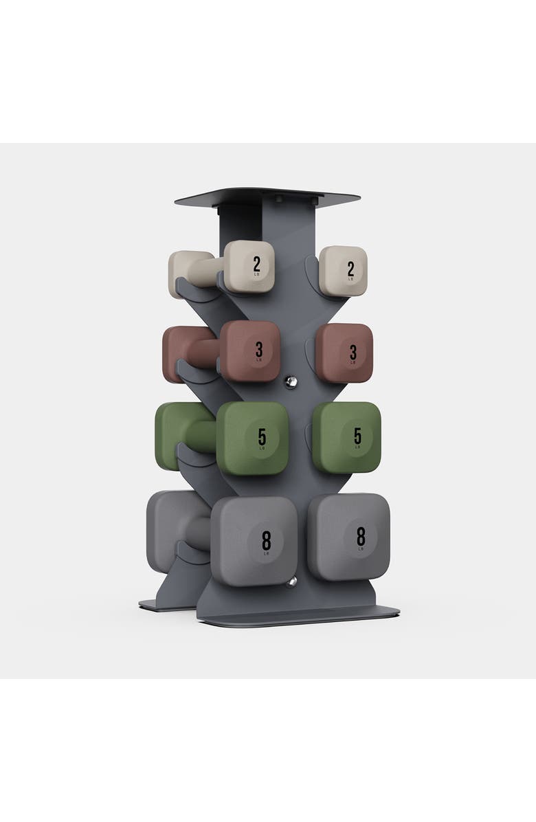 WeGym SafeGrip Dumbbells Lower Set with Dark Rack - 2, 3, 5, 8lbs, Main, color, Multicolored