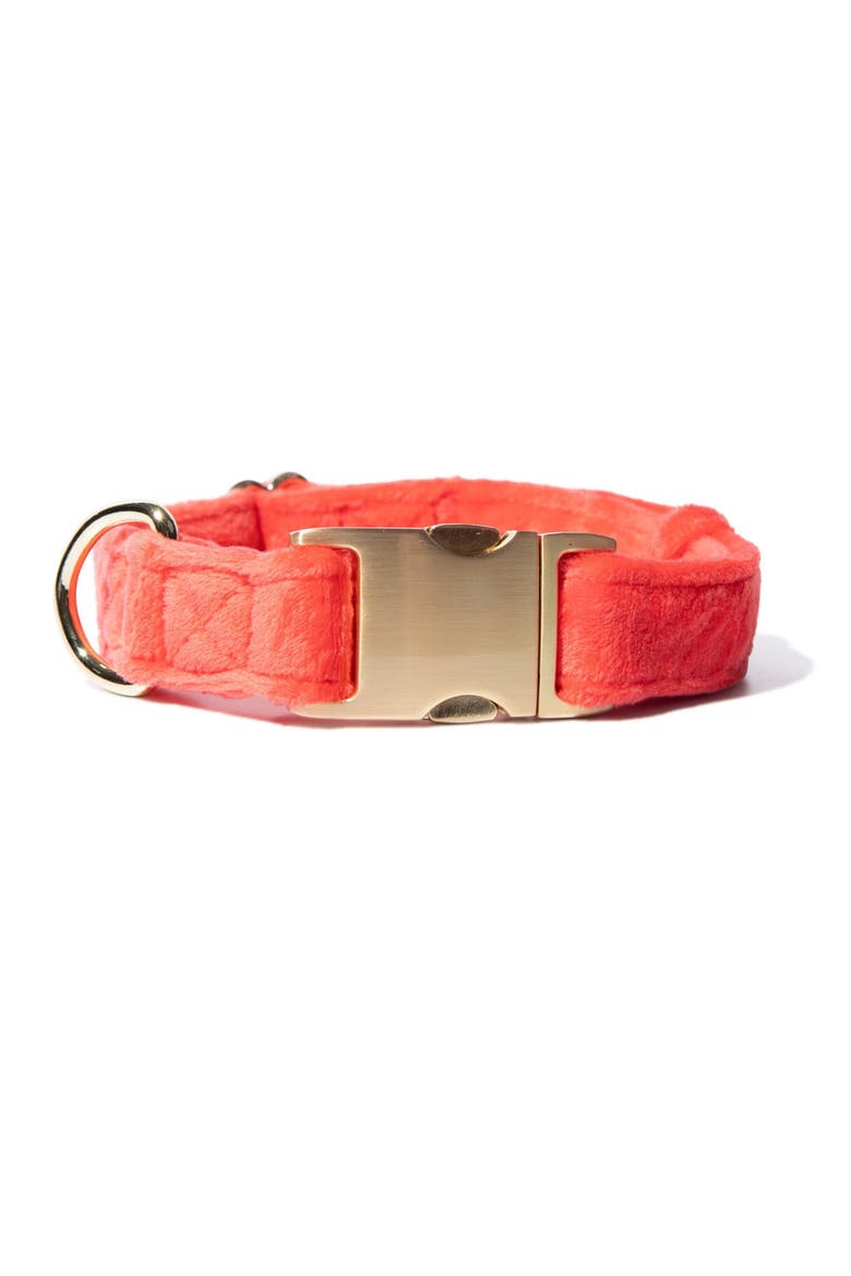 Suki Dog Collar, Main, color, Suki