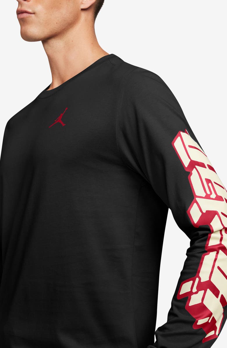 Jordan Jumpman Long Sleeve Graphic T-Shirt, Alternate, color, 