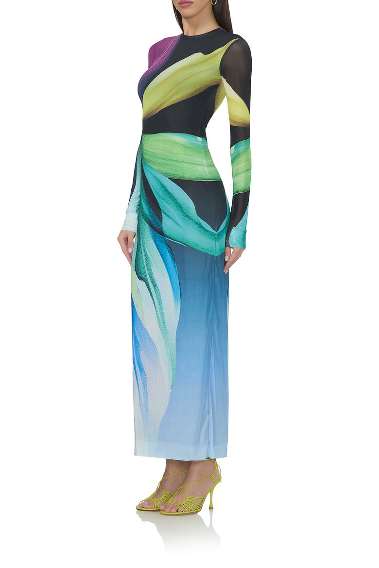 Didi Printed Long Sleeve Mesh Maxi Dress, Alternate, color, BLACK LOTUS