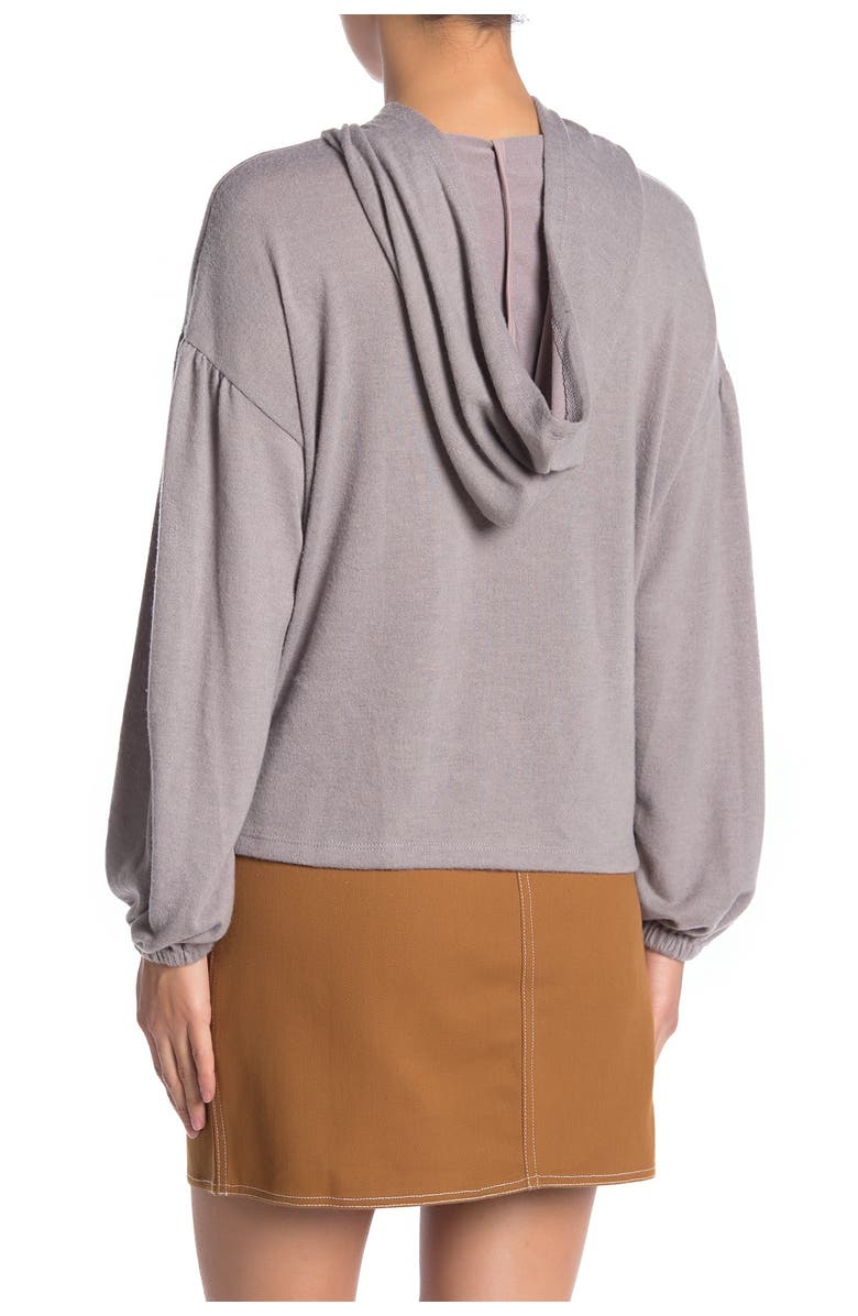 All in Favor Hooded Brushed Rib Sweater, Alternate, color, 