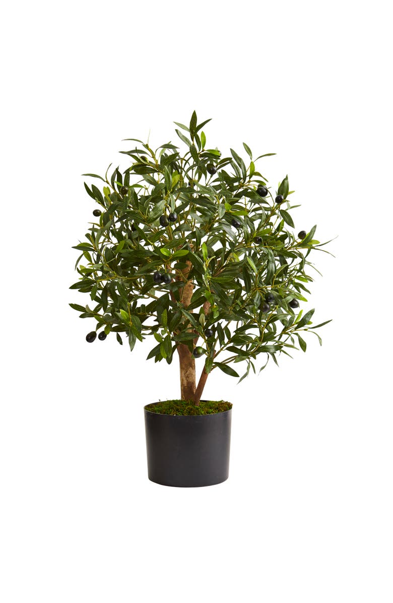 NEARLY NATURAL 29-in Olive Artificial Tree, Main, color, Green