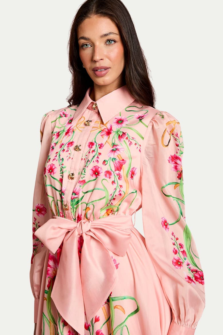 Border Print Organza Shirt Dress, Alternate, color, Blush