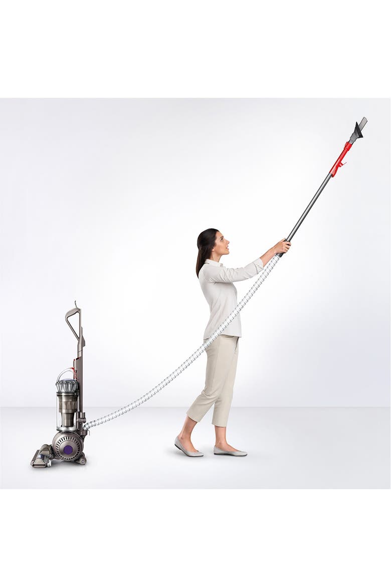 Up13 Ball Animal Pro Upright Vacuum - Refurbished, Alternate, color, IRON