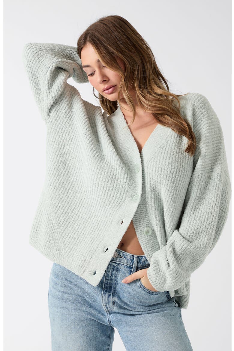 Lana Oversize Rib Cardigan, Alternate, color, LIGHT BLUE