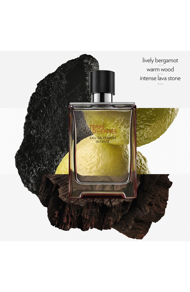Hermès Terre d'Hermès - Eau de Parfum Intense, Alternate, color, Regular