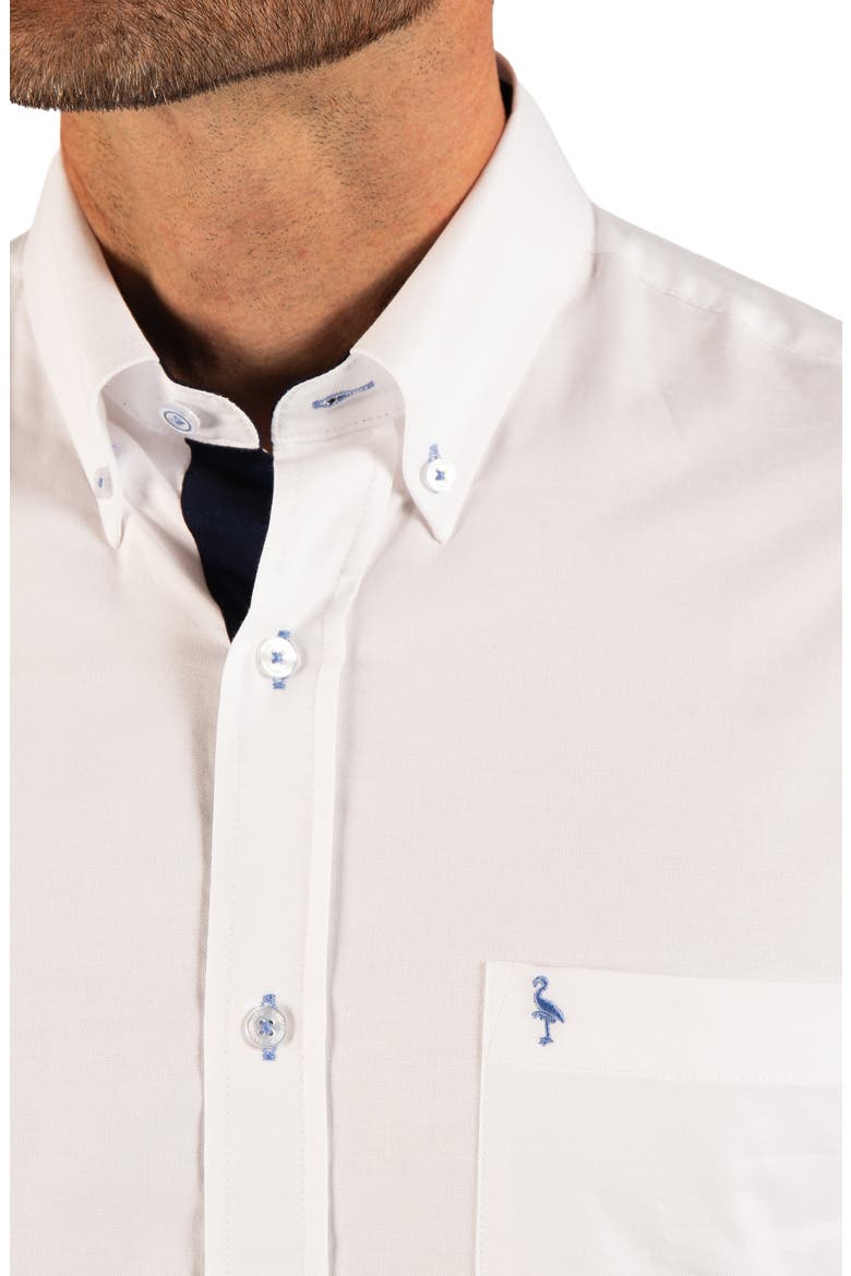 Oxford Cotton Button-Down Shirt, Alternate, color, WHITE
