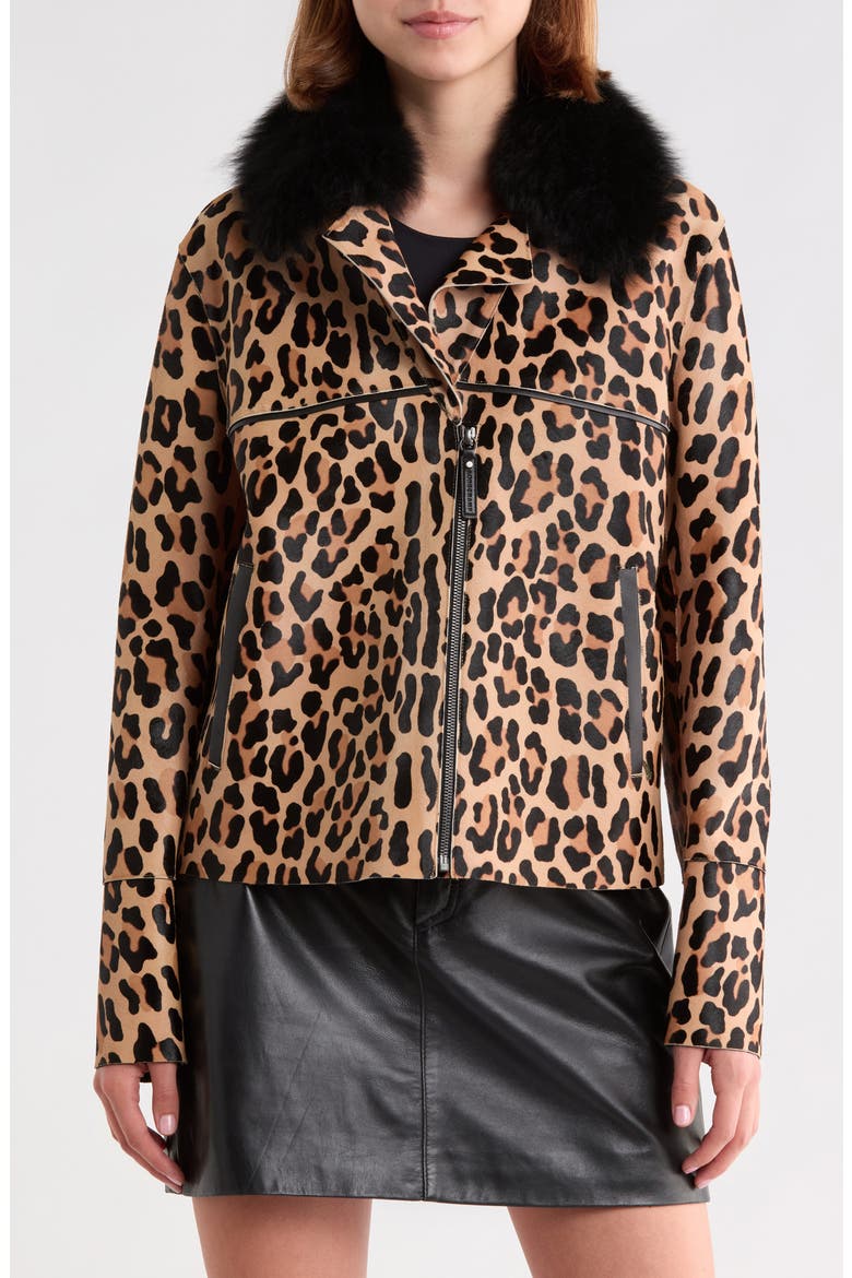 Genuine Calf Hair Jacket with Genuine Shearling Collar, Main, color, CAMEL