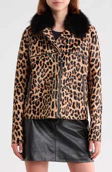 Genuine Calf Hair Jacket with Genuine Shearling Collar
