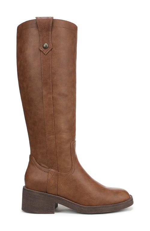 Blowfish Malibu Nomads Tall Riding Boot In Brown