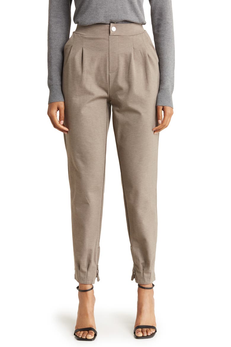 Zip Cuff Pants, Main, color, TAUPE