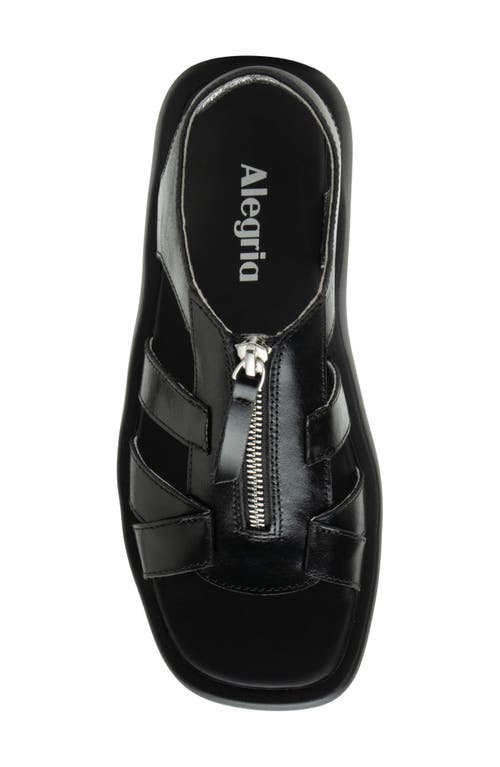 Alegria By Pg Lite Palmer Sandal