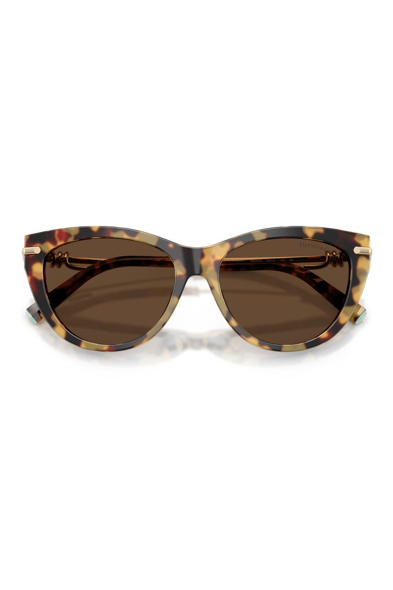 55mm Cat Eye Sunglasses, Alternate, color, BLONDE HAVANA / LIGHT BROWN