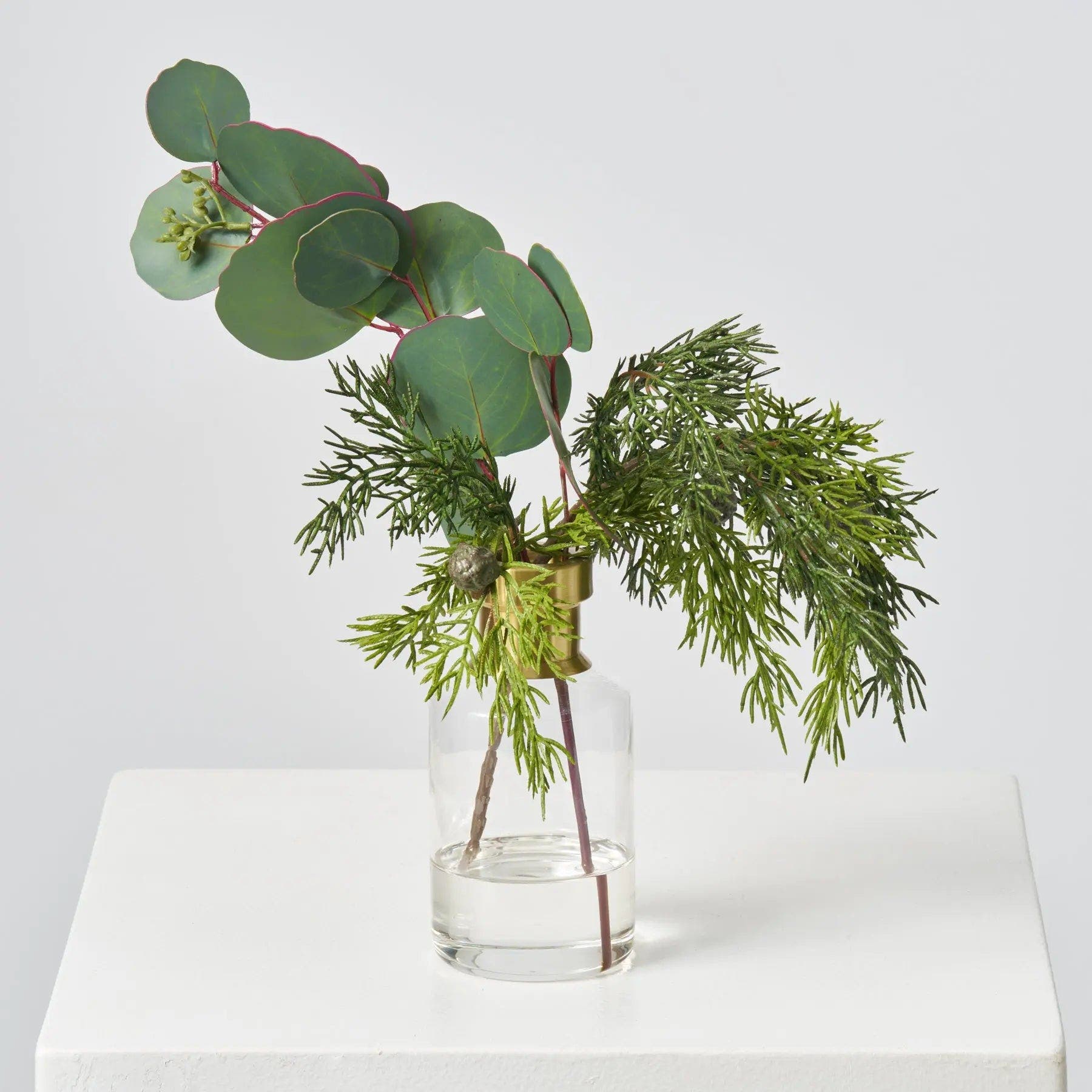 Darby Creek Trading Silver Dollar Eucalyptus & Lifelike Cedar in Gold ...