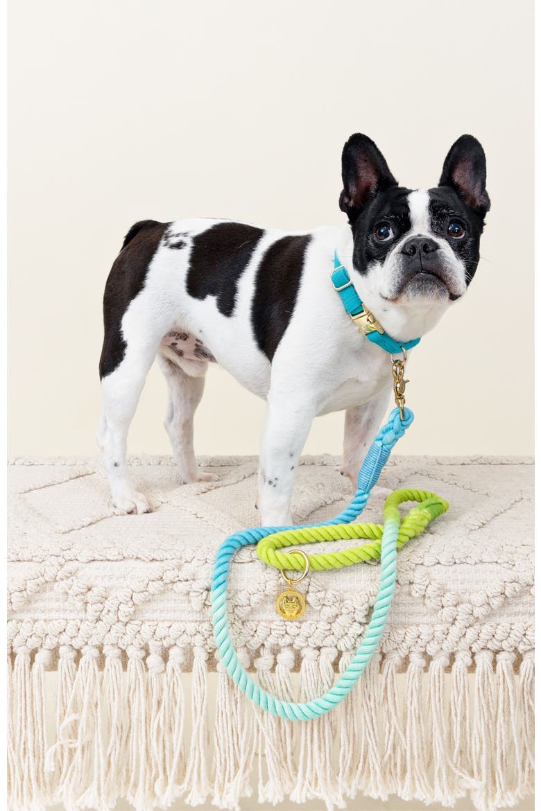Alexandria Rope Dog Leash, Alternate, color, Alexandria 4ft