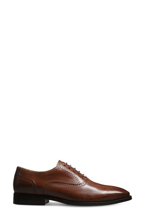Allen Edmonds Siena Brogue Oxford In Chili