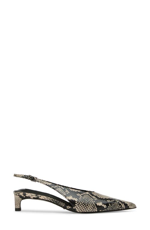 Tony Bianco Charlie Ecru Snake In Ecru Snake