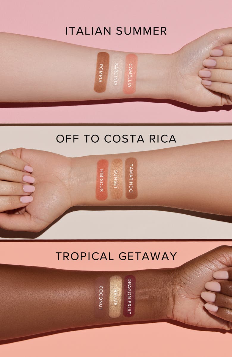 Anastasia Beverly Hills Face Palette, Alternate, color, Tropical Getaway