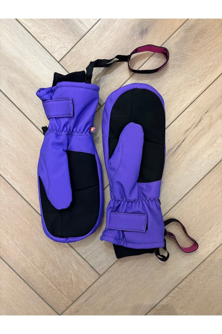 1987 PrimaLoft® V2 Ski & Snowboard Mitt - Purple, Alternate, color, Purple, Black