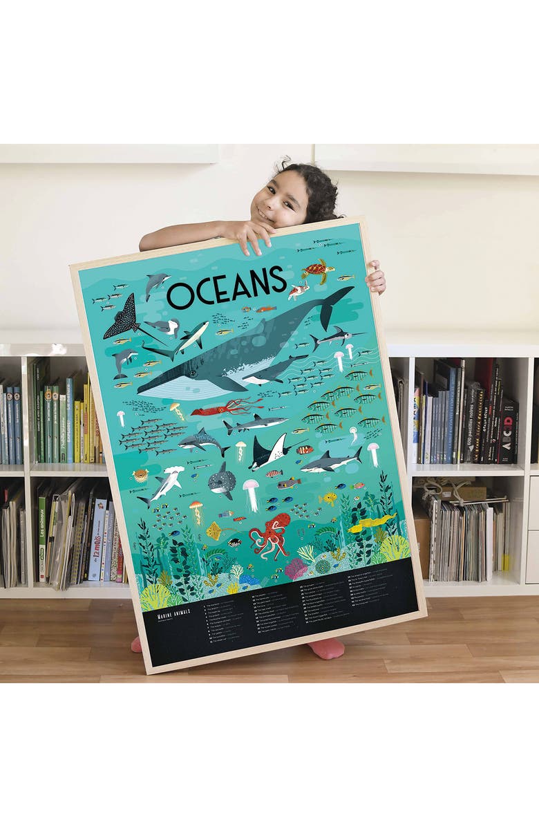 Scrunch Ocean Discovery Poster, Alternate, color, Multi