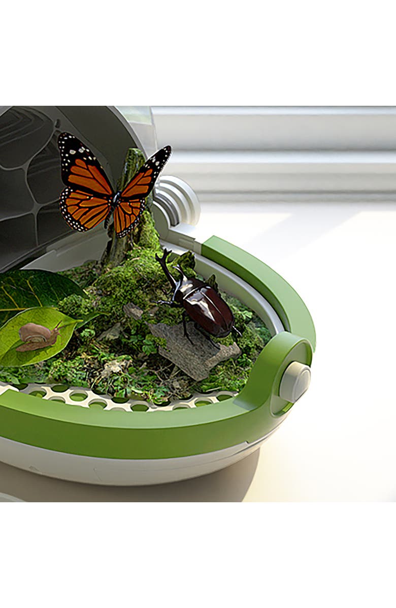 Science Can Insects Growth Station Grow 
Observe, 6+, Alternate, color, Multicolored