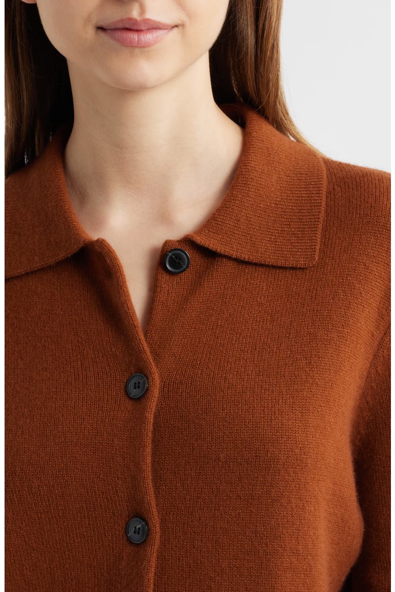 Cashmere Shrunken Cardigan, Alternate, color, CHESTNUT