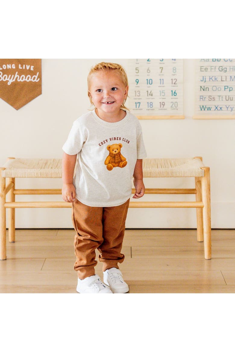 Cozy Teddy Short Sleeve T-Shirt, Alternate, color, Natural Heather