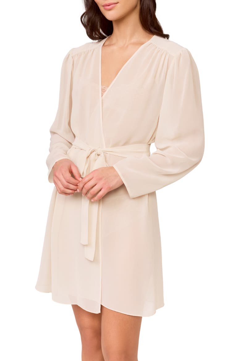 Lovely Sheer Chiffon Wrap, Main, color, CHAMPAGNE