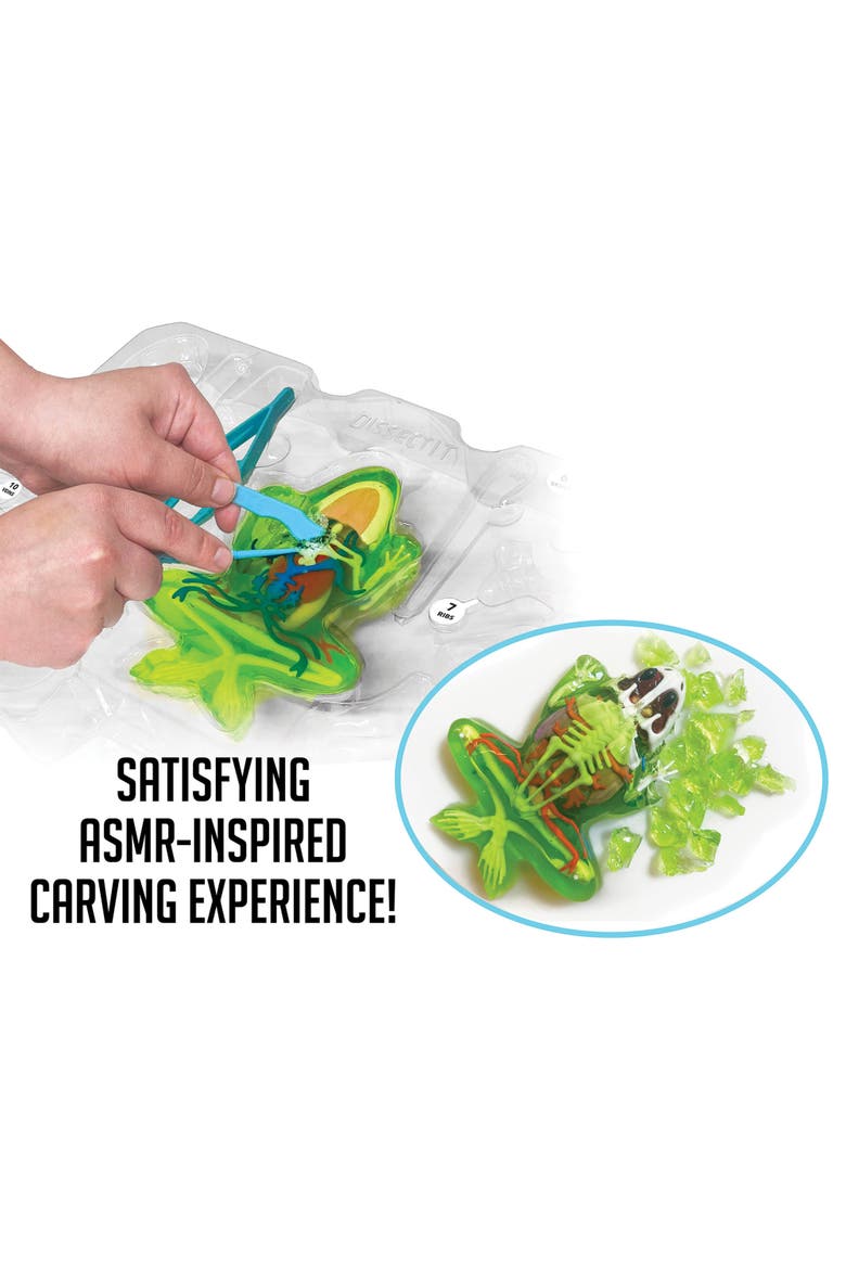 Deluxe Super Frog Lab, Kids, Alternate, color, Multicolored