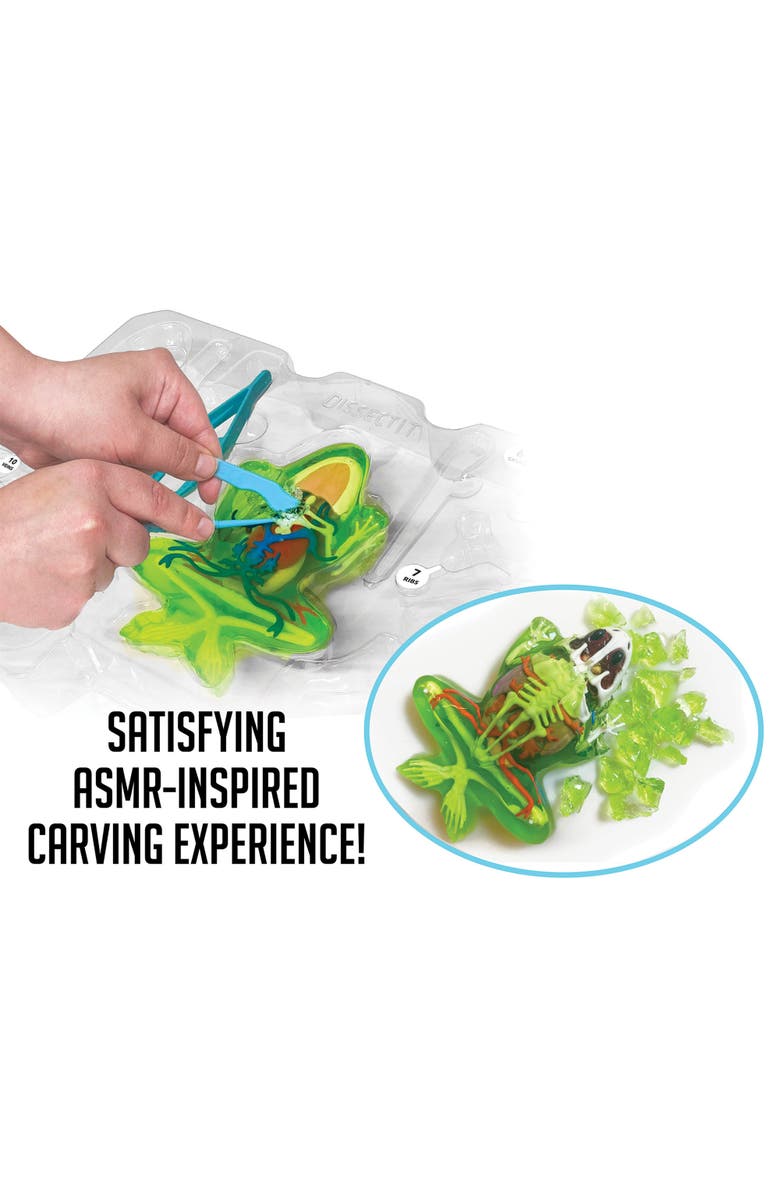 Dissect-It Deluxe Super Frog Lab, Kids, Alternate, color, Multicolored