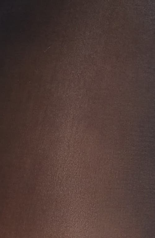 High Heel Jungle 2-pack Luminous Glazed Finish 15-denier Sheer In Brown