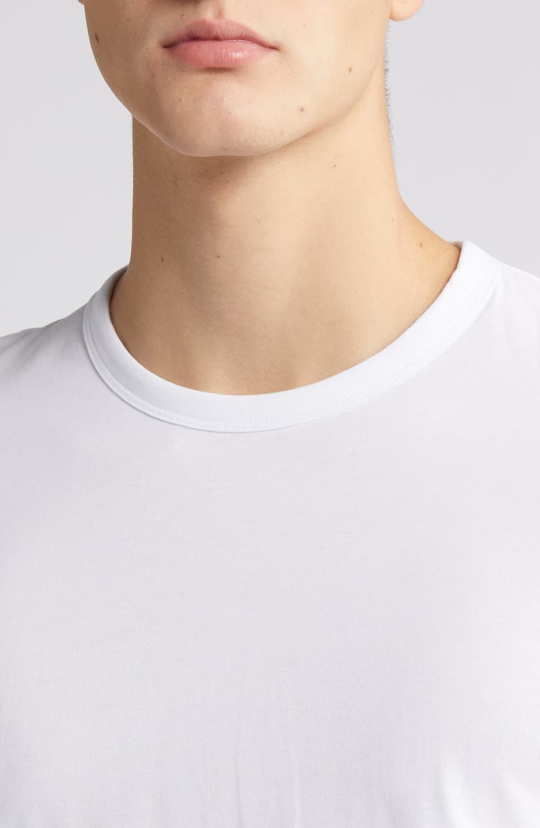 COS Regular Fit Cotton T-Shirt, Alternate, color, 