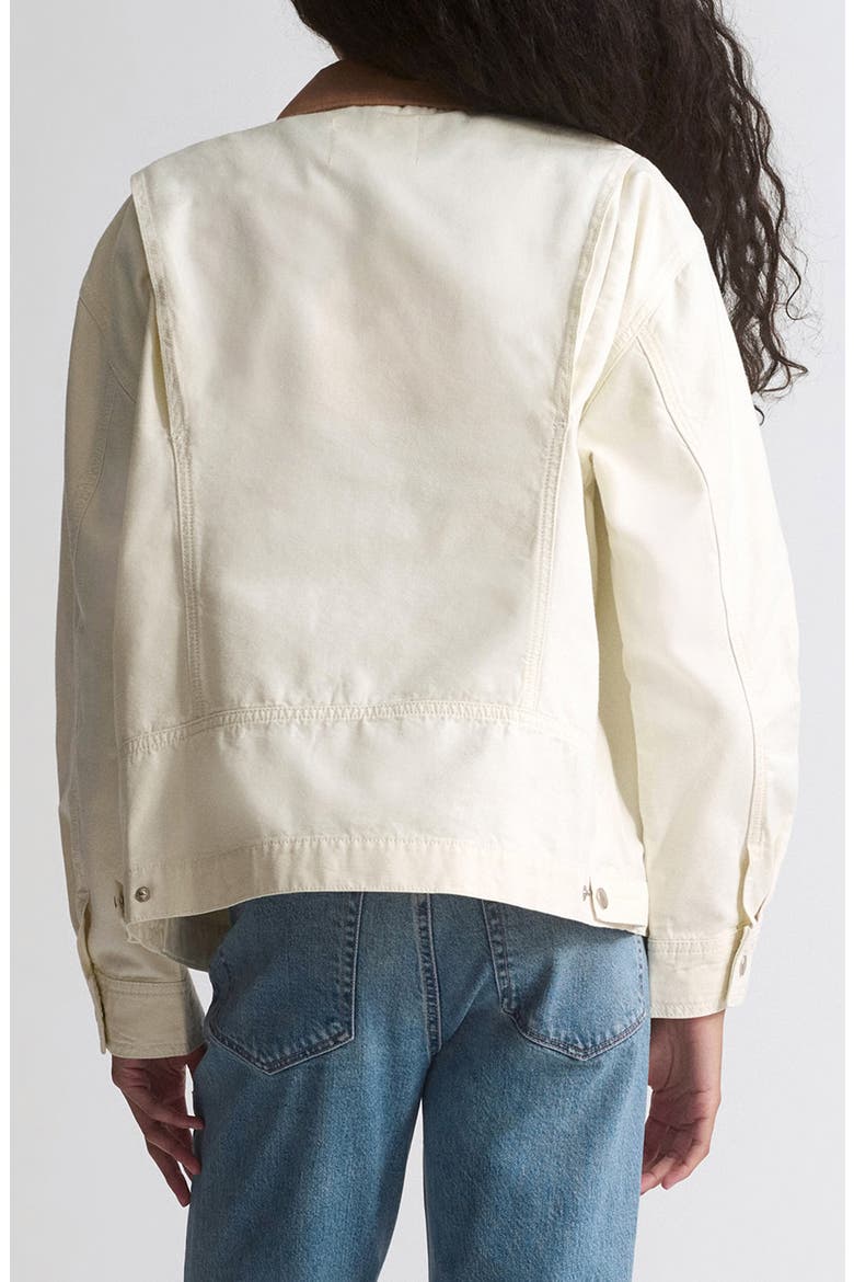 Turtledove Jacket, Alternate, color, TURTLEDOVE