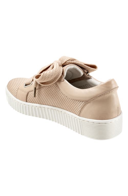Eos Footwear Jovi Perforated Leather Sneaker In Birch