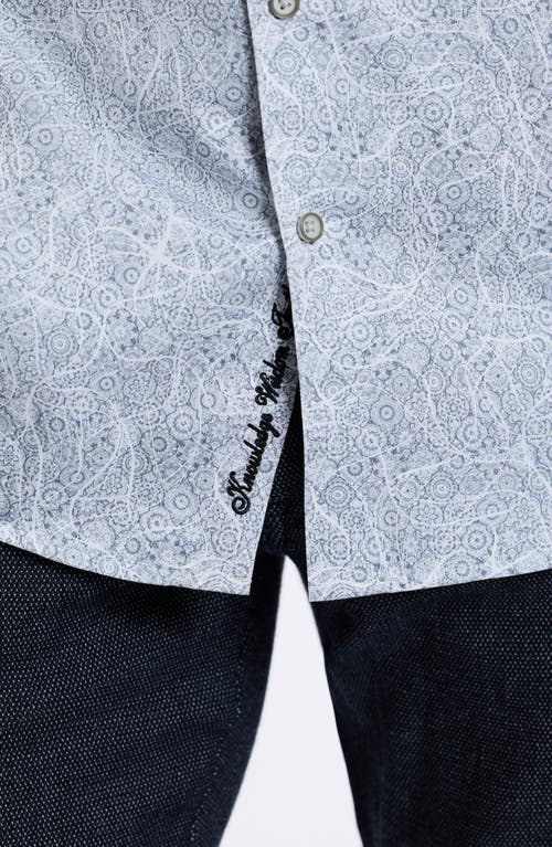 Shop Robert Graham Stelvio Cotton Button-up Shirt In Light Grey