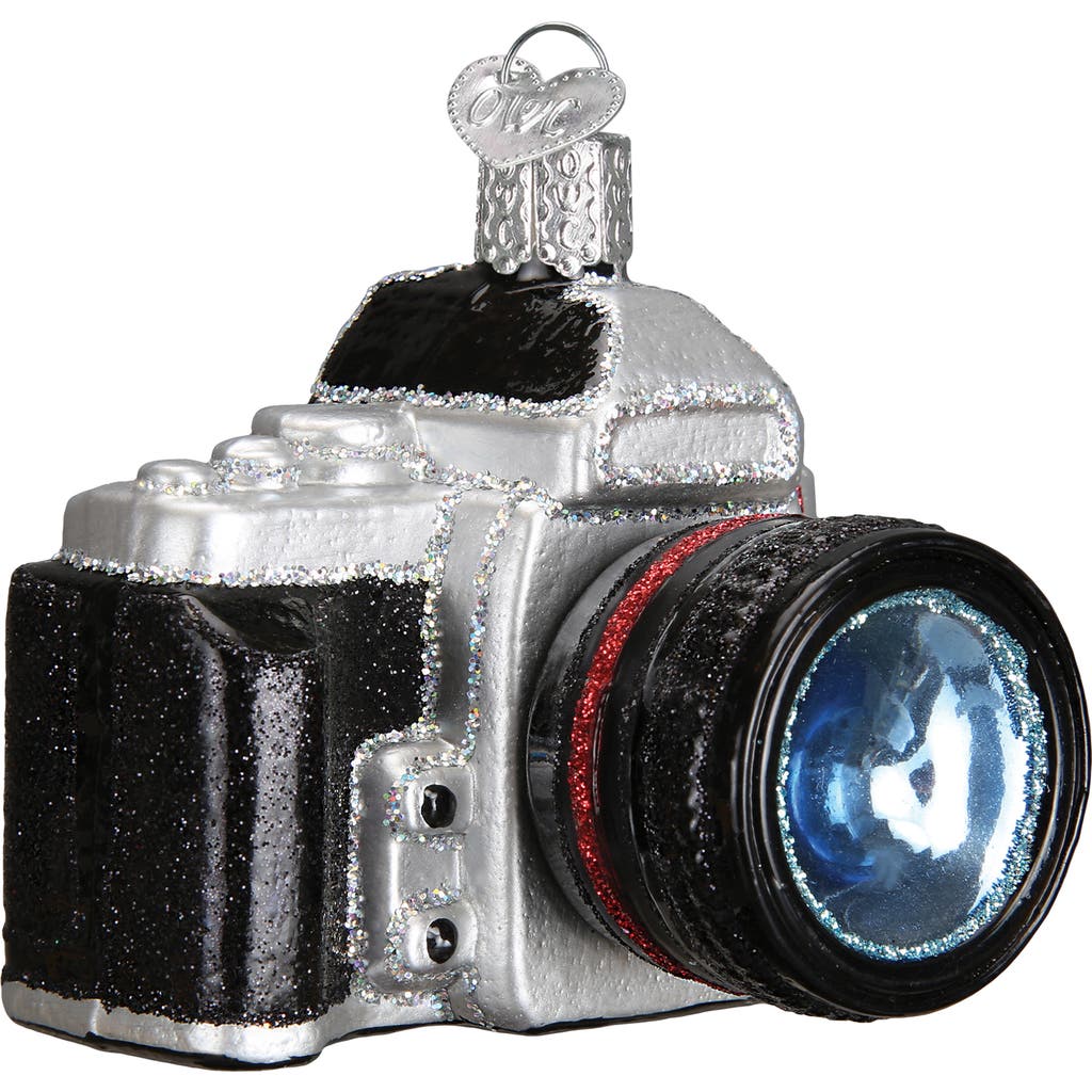 Old World Christmas Camera Glass Ornament In Black