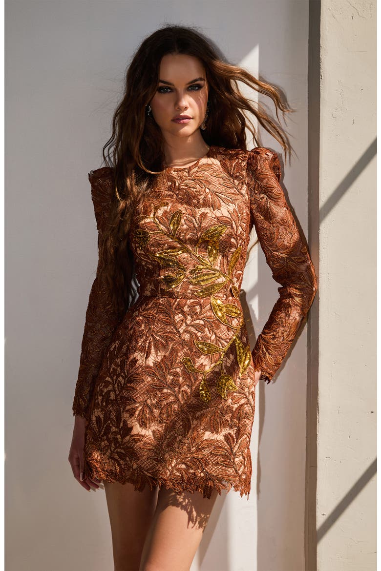 Savannah Embroidered Long Sleeve Minidress, Alternate, color, COPPER