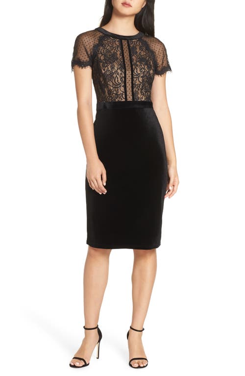 Tadashi Shoji Lace & Velvet Dress In Black
