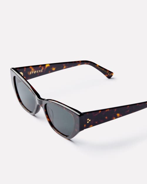 Epokhe Reprise Sunglasses In Brown