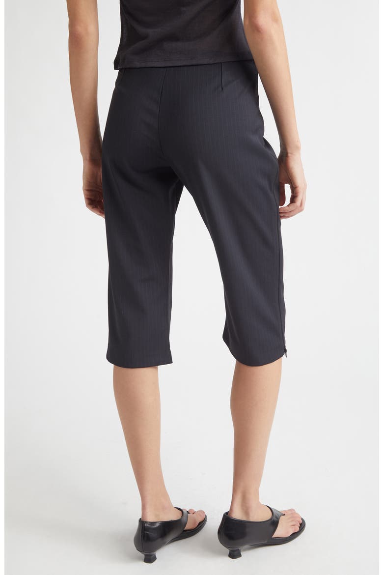Lumieti Pinstripe Side Zip Capri Pants, Alternate, color, DARK GREY