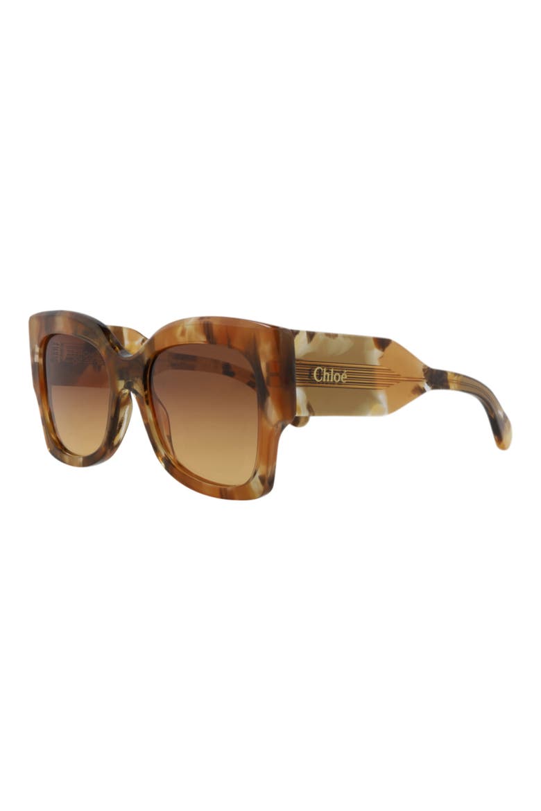 55mm Square Sunglasses, Alternate, color, HAVANA HAVANA BROWN