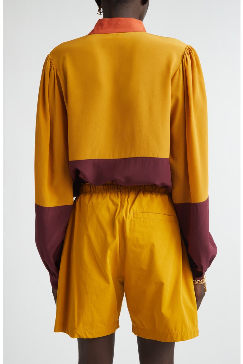 Colorblock Silk Crêpe de Chine Half-Placket Shirt, Alternate, color, LIE DE VIN