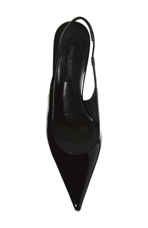 Tony Bianco Slingback Pointed Toe Pump In Black