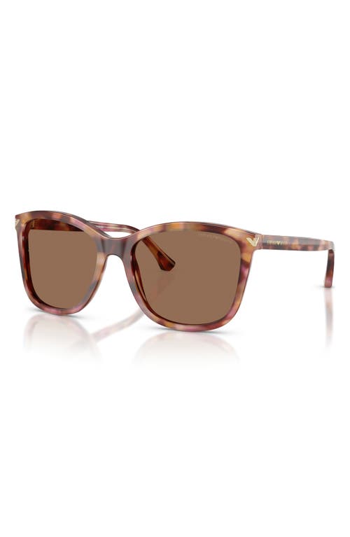 Emporio Armani 56mm Gradient Square Sunglasses In Brown