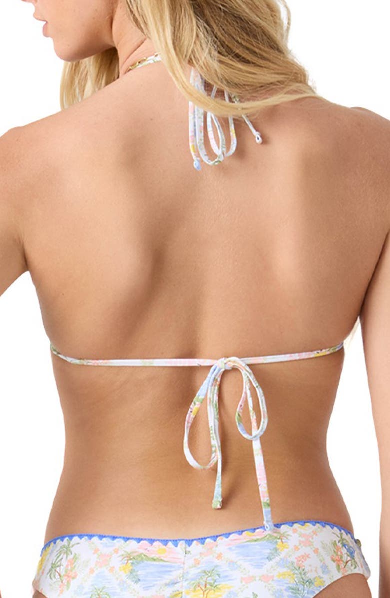 Roxy Catch My Drift Triangle Bikini Top, Alternate, color, 