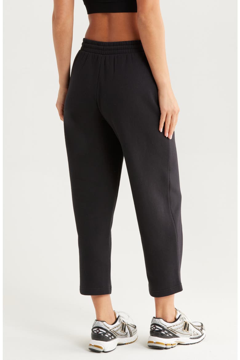 Ultracozy Pleated Joggers, Alternate, color, BLACK