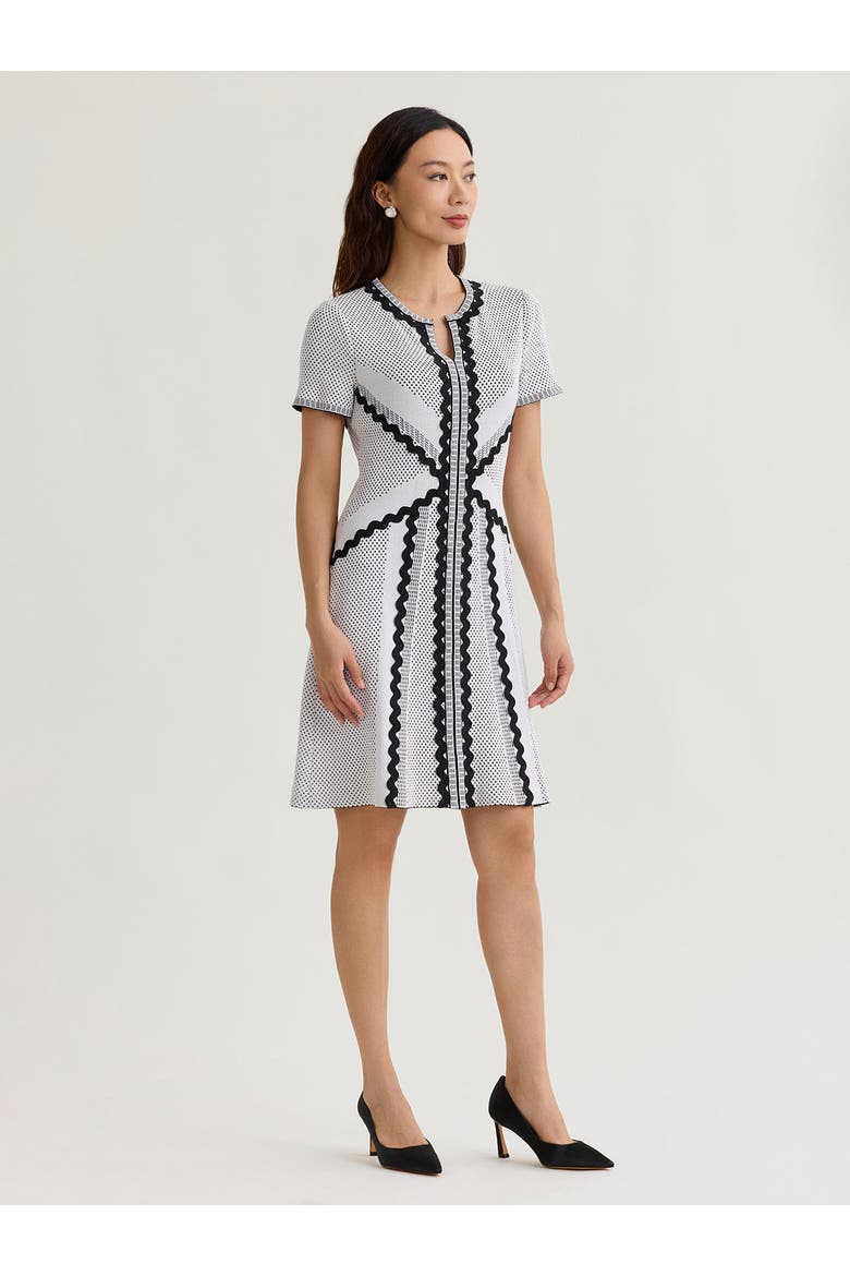 A-Line Monochrome Dotted Stitch Knit Dress, Alternate, color, Black/White/Grey