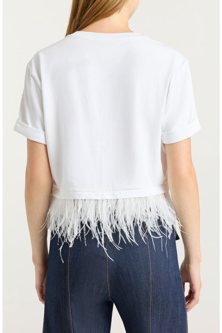 Feather Trim Crop T-Shirt, Alternate, color, WHITE
